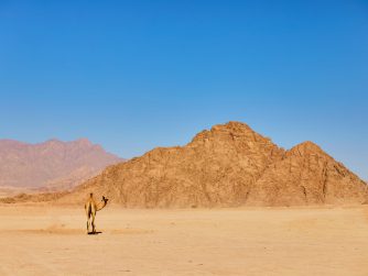 המדבר - חלק ראשון