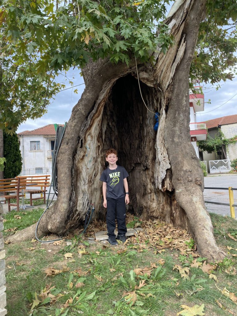 הכיף בלתת לוויז לנווט. דולב ענק ליד בית קפה מקומי (מאוד) בכפר שומם שקפא מלכת בדרך לאורמה