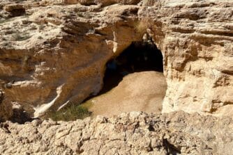פודקאסט ילדי טבע - בשידור מתל אביב: עתיד עין יורקעם עם שיר פרלמוטר