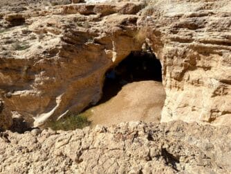 פודקאסט ילדי טבע - בשידור מתל אביב: עתיד עין יורקעם עם שיר פרלמוטר