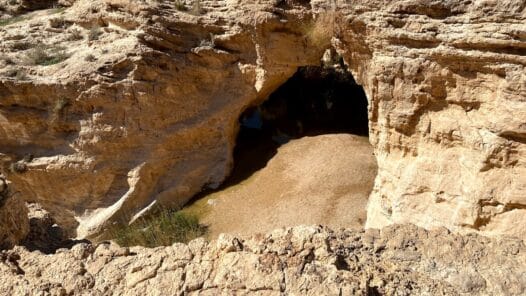 פודקאסט ילדי טבע - בשידור מתל אביב: עתיד עין יורקעם עם שיר פרלמוטר