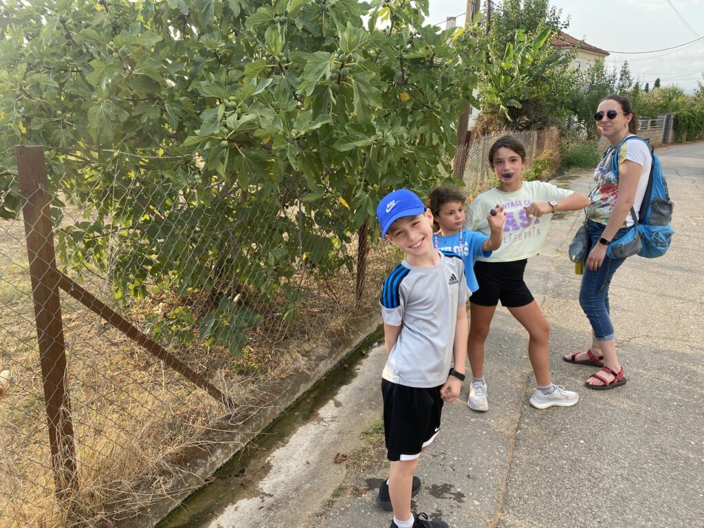 בין גפנים ותאנים בסיור בשולי הכפר